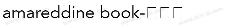 amareddine book字体转换
